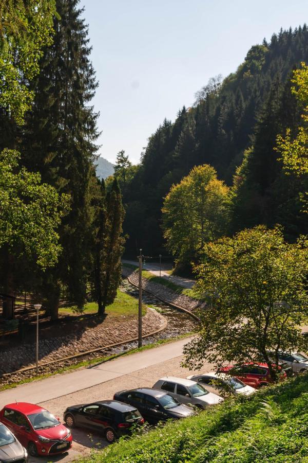 Anin Dvor Sekovici Exterior foto